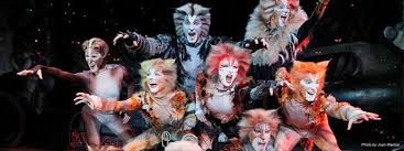 Listen to cats (original broadway cast recording / 1983) on spotify. Broadway Musical Home Cats