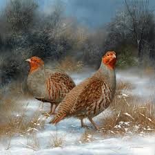 Novosti Wildlife Artists Wildlife Paintings Hunting Art