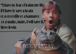 Steve Irwin Funny Quotes. QuotesGram via Relatably.com
