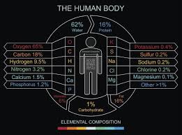 Pin On Biology