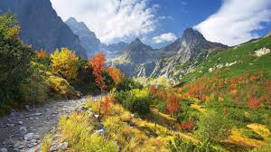 Att resa till slovakien görs enkelt via flyg eller tåg. Bakgrundsbilder Trad Landskap Skog Falla Natur Gras Stenar Moln Nationalpark Dal Kanjon Bergspass Vildmark Vag Alperna Gaende Tatrabergen Slovakien Plata As Host Blad Berg Sasong Spar Ang Vild Blomma Bergiga Landforms