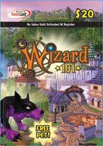 So far none of my wizards has a . 18 Wizad101 Ideas Wizard101 Mmorpg Games Wizard