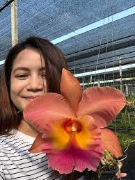 Me with my orange bloom 🧡🌸