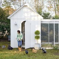 The most popular types are the silver laced and gold laced chickens. 9 Best Chicken Breeds For Your Backyard Coop Types Of Chickens