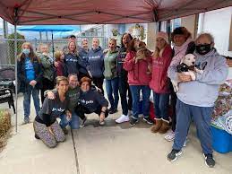 This location offers grooming, petshotel, doggie day camp, training, adoptions and curbside pickup. Posh Pets Long Beach Animal Shelter Home Facebook