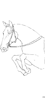 Klicke hier um dein gratis ausmalbild springendes pferd auszudrucken. Malvorlage Springen Coloring And Malvorlagan