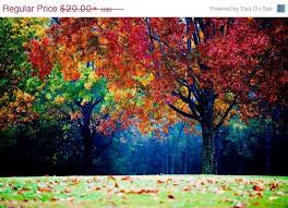 Photographie De Paysage Colore Arbre Automne Brouillard Et Etsy Colorful Landscape Photography Colorful Landscape Autumn Landscape