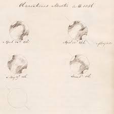 Engraved hand drawn in old sketch. Lecture 19