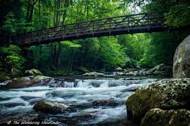 Big creek is a very small isolated campground in the northeast corner of the park. Big Creek Campground Great Smoky Mountains National Park Great Smoky Mountains National Park Recreation Gov