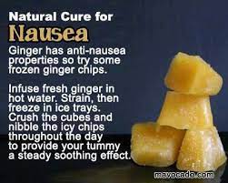 Ginger Cubes For Nausea Healing Food How To Cure Nausea Natural Cures