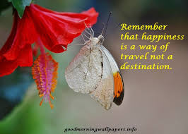 Maybe you would like to learn more about one of these? 200 Good Morning Butterfly Images Hd Butterfly Photos With Quotes