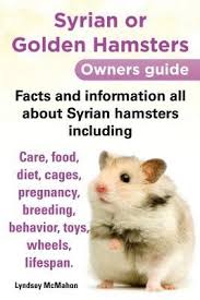 Pin On Syrian Hamster