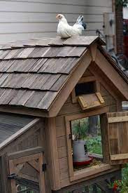 gardening news and notes garden gives up ring after 34 years front yard fight chicken lessons chickens backyard backyard chicken coops chicken coop