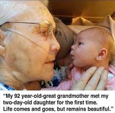 Which Lego set is better value