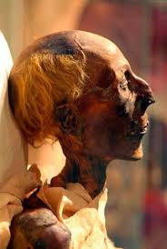 Maybe you would like to learn more about one of these? Ø¬ÙˆØ§Ø² Ø³ÙØ± Ù„Ù…ÙˆÙ…ÙŠØ§Ø¡ Ø±Ù…Ø³ÙŠØ³ 44 Ø¹Ø§Ù…Ø§ Ù…Ø±Øª Ø¹Ù„Ù‰ Ø£ØºØ±Ø¨ ÙˆØ§Ù‚Ø¹Ø©