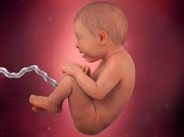 Enjoy your night knowing your kids are safe. 36 Weeks Pregnant Fetal Development Babycenter India