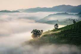 Mist Definition And Meaning Collins English Dictionary
