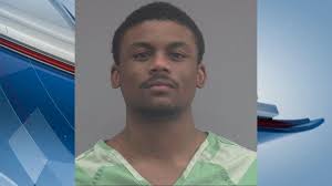 Gainesville man arrested for beating woman, cracking patrol car windshield