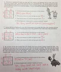 Spongebob genetics answer key 3. S P O N G E B O B G E N E T I C S A N S W E R S H E E T Zonealarm Results