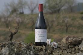 Image result for TorRed 2018 Fleet