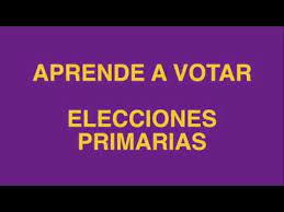 Un militante del ps o la dc aparecerá como inhabilitado. Como Votar En Las Proximas Elecciones Primarias Del 6 De Octubre Youtube