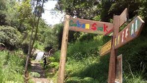 Lokasi coban siuk berada di desa taji dengan jarak sekitar 4,3 km dari coban jahe. Panah Arah Di Lokasi Coban Siuk Picture Of Coban Siuk Malang Tripadvisor
