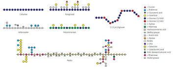 We did not find results for: Heterogeneity In The Chemistry Structure And Function Of Plant Cell Walls Nature Chemical Biology