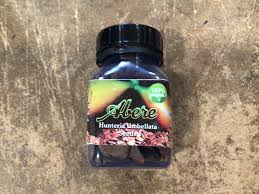 Image result for Hunteria umbellata