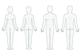 Joints of the body for human physiology chart. Pin On Diy Ropa