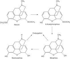 Heroin An Overview Sciencedirect Topics