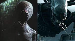 With michael fassbender, katherine waterston, billy crudup, danny mcbride. Alien Covenant Sollte Ursprunglich Einen Neomorph Xenomorph Kampf Enthalten