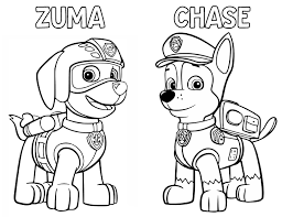 Read customer reviews & find best sellers. Paw Patrol Drawing And Colouring Novocom Top