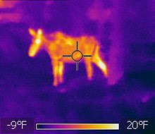 We did not find results for: Moose Wikipedia