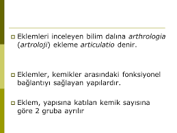 Eklem Genel Bilgiler Ogr Gor Ziya Yildiz Eklemleri Inceleyen Bilim Dalina Arthrologia Artroloji Ekleme Articulatio Denir Eklemler Kemikler Ppt Indir