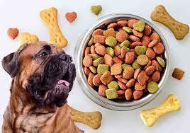 Bullmastiff Feeding Information: Helpful Guidelines & Schedule