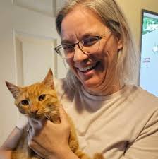 Dollywood ticket booking process and food options