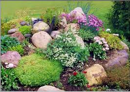 как сделать альпийскую горку на даче своими руками фото Pin Na Doske Tuong Cay Thac