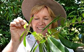 Nurture an interest in city's botanic gardens