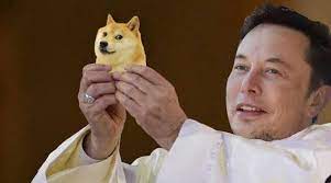 In the past, dogecoin's rallies have been fueled almost entirely by online memes and jokes. Dogecoin Price Spikes After Elon Musk S Snl Appearance Tweet Memes Take Over Twitter Trending News The Indian Express