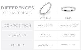 Digital vector white and silver sport race car. White Gold Vs Silver Which Is Better