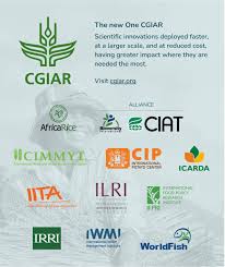 Ang lahat ng mga negosyo ay may pananagutan sa pagpapatupad ng. International Rice Research Institute