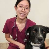 60+ "Maisy )" profiles