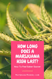 How long does a marijuana high last? How Long Does Being High Last With Marijuana Marijuana Mommy