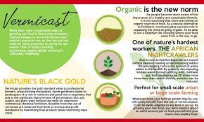 Using earthworm castings can reduce use of fertilisers and other agricultural chemicals. Use Vermicast To Fertilize Echostar Dragon Fruit Farm Facebook