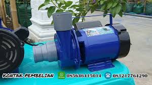Harga mesin pompa air hidroponik asli biasanya lebih mahal dibanding harga mesin pompa air hidroponik kw karena memang kualitasnya berbeda. Mesin Pompa Air Untuk Kebun Jet175 Youtube
