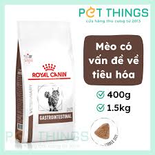 Royal Canin Feline Gastrointestinal - Thức ăn khô hỗ trợ tiêu hóa – Pet  Things