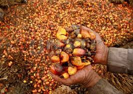 The industry tries to limit the development of ffa to less than 4% (pathak, 2005). Ijm Plantation May Face Major Crop Losses Affin Hwang