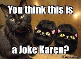 Top Laughing So Hard Cat Memes Cat Memes Happy Birthday Funny Cat Memes Funny Cat Jokes Karen Memes