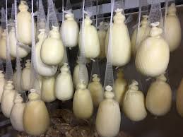 Azienda agricola Fattoria “Al Gelso Bianco” - Luciano Pignataro Wine Blog