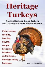 Now such turkeys, known as heritage breeds or standard turkeys, are making a move to be on your table this thanksgiving. Amazon Com Heritage Turkeys Raising Heritage Breed Turkeys Must Have Guide Facts And Information Pets Caring Feeding Farming Buying Recipe Breeding Bourbon Red Turkeys Heritage Turkey Hatchery Ebook Tekcard Les Kindle Store